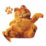 garfieeeld.. kto iny xP .. nesmie chybast.jpg