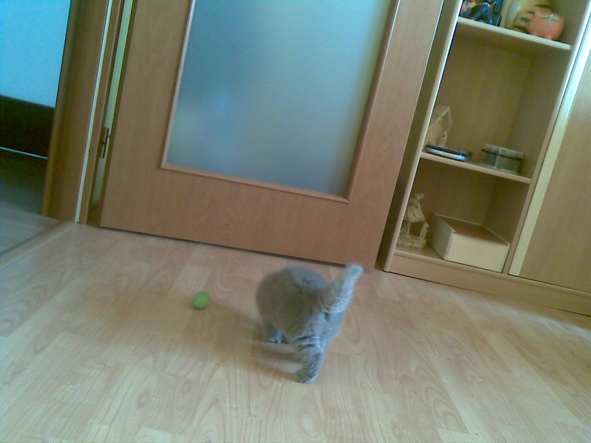 01052009(008).jpg